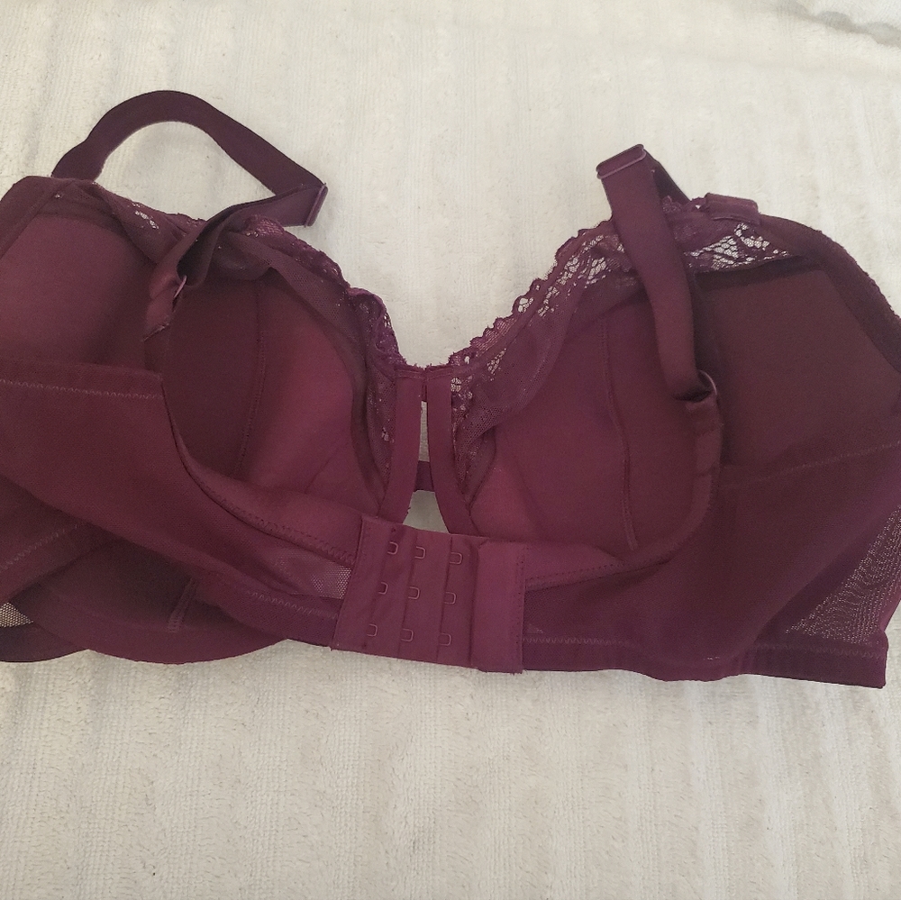 Paramour lace underwire bra size 36DDD - Picture 4 of 4